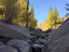 -克什克腾世界地质公园青山景区
