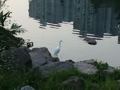 -重庆彩云湖湿地公园