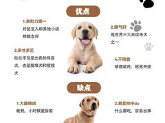 -艾贝尔宠物医院 ·中兽医·宠保定点(北门桥店)