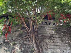 -重庆十八梯传统风貌区