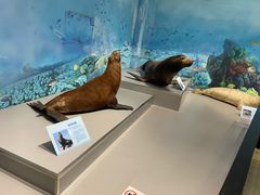 -大连自然博物馆·地球展厅