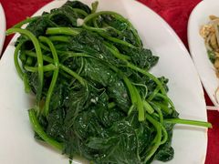 番薯叶-蛇口康乐快餐鱼仔档(翠苑小区店)
