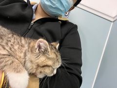 -纳吉亚猫专科动物医院·北北分院