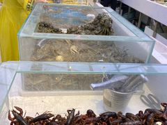 -集品鲜湾·蒸汽海鲜自助料理(青岛银座和谐广场店)
