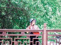 -十八棵（老龙井）御茶园(老龙井店)