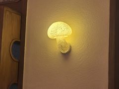 -芸鲜季·云南野生菌餐厅· 云南风物味研社(闵行店)
