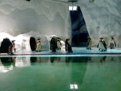 android_upload_pic-北戴河圣蓝海洋公园