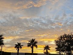 -盛兴面馆(真儒大厦店)