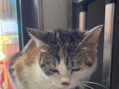 -老丘丘(较场口店)