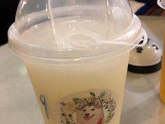 -Husky Go! 哈士奇体验馆·宠物咖啡厅狗咖