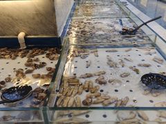 -川骄海鲜自助(河东店)