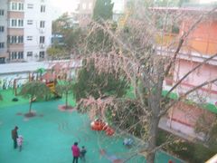 -北京林业大学幼儿园