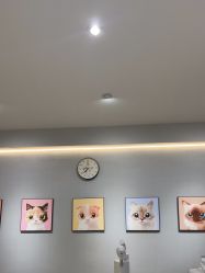 -洗脸猫·洗脸吧