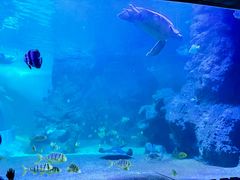 -左海海底世界