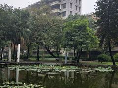 -垂虹公园
