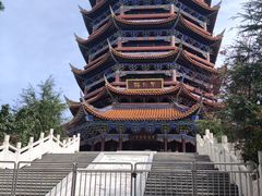 -铁山坪森林公园