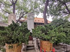 -历代帝王庙博物馆