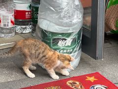 -笨罗卜浏阳菜馆(太平街店)