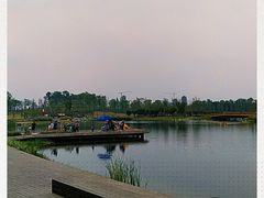 -白鹭湾湿地公园