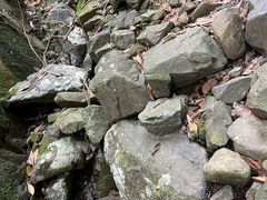 -东明山森林公园