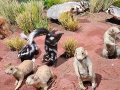 -陕西自然博物馆