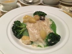 -8餐厅(新葡京酒店)