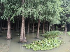 -捞渔河湿地公园