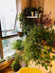 店内环境-笑美甲美睫工作室