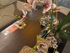 -施奈儿.洗头頭療.按摩SPA.采耳(上梅林店)