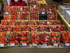 -T11生鲜超市(朝阳公园店)
