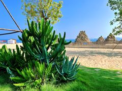 -大梅沙海滨公园