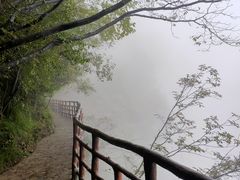 -鹿院坪生态旅游景区