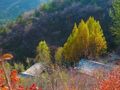 -周口店坡峰岭风景区