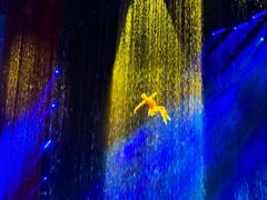 -水秀国际大剧院