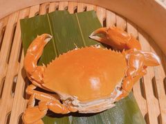 -成隆行·蟹王府(九江路店)
