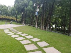 -重庆市江北嘴中央商务区中央公园