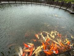 -梅州瑞山生态旅游度假村