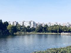 -新江湾城公园