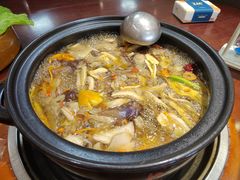 -菌之家·专业纯野生菌火锅·特色炒菌