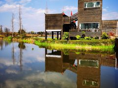 -呈贡滇池生态湿地公园