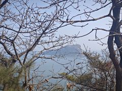 -棒棰岛宾馆景区