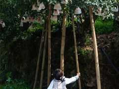 -樱桃山旅游景区