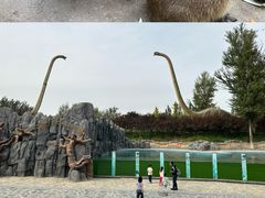 -北京野生动物园