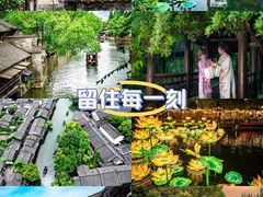 -乌镇景区