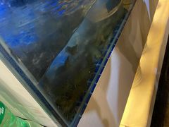 -诸暨祥生世纪酒店