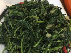 清香枸杞苗-国强手抓(北京西路店)
