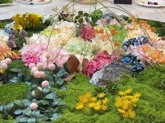 -高丽馆(尊茂店)