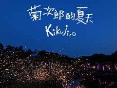 -大塘金香草谷