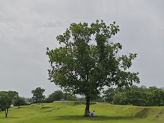 -盘龙城国家考古遗址公园