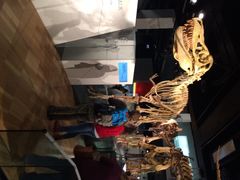 iphone_upload_pic-墨尔本博物馆(Melbourne Museum)